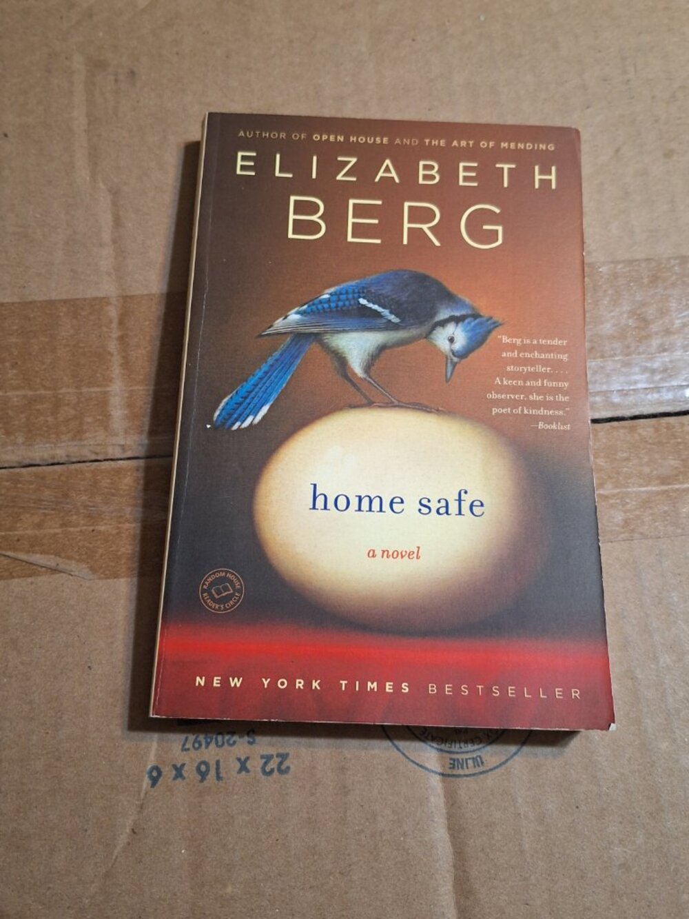 Home safe